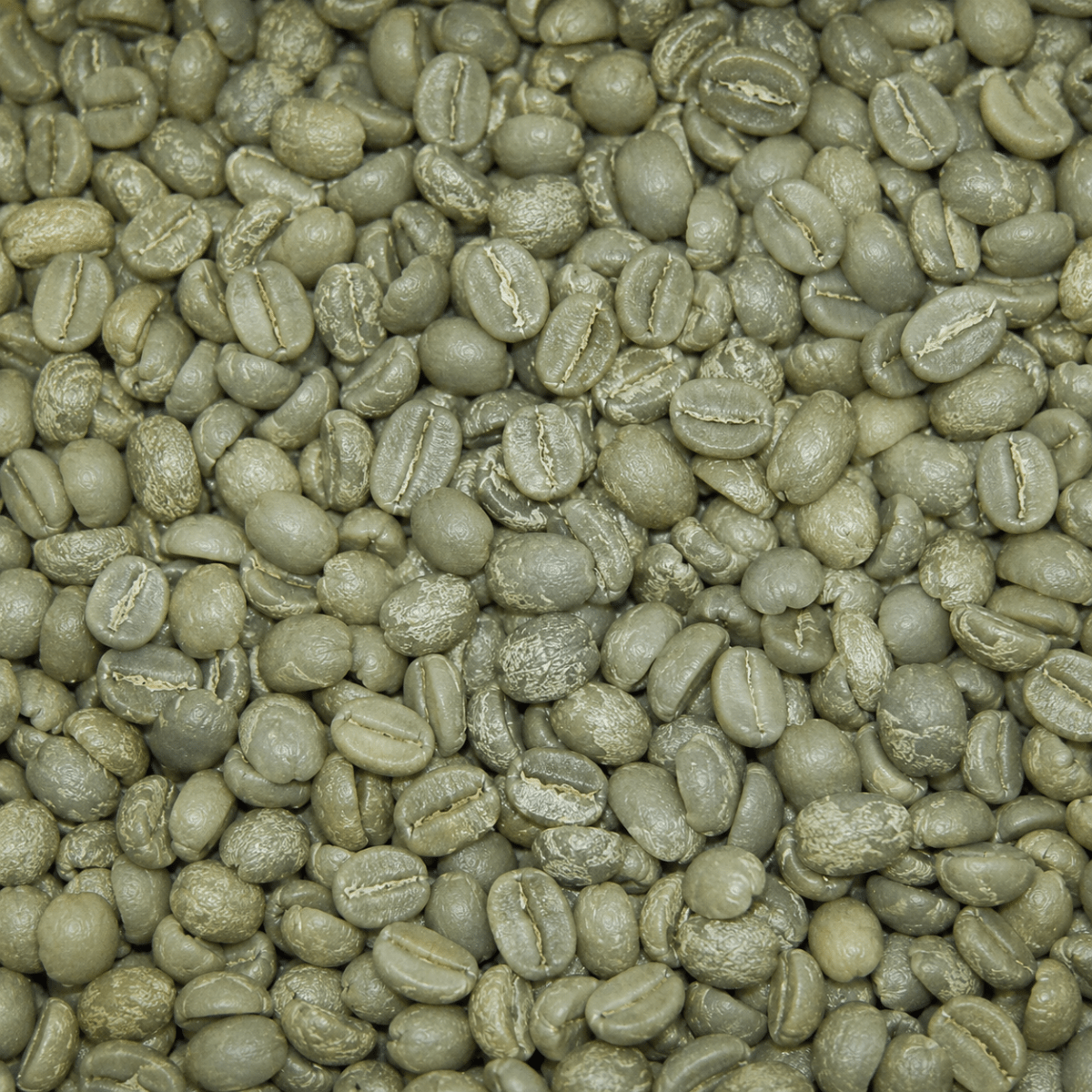 Cà phê nhân xanh Arabica - Lâm Đồng Farmgo