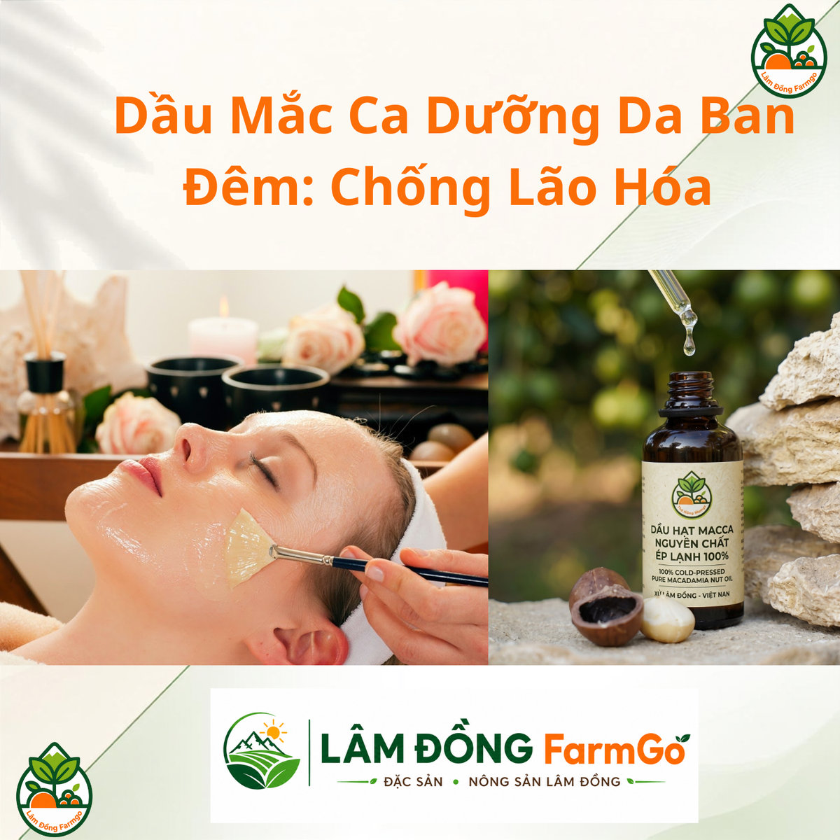 Dầu Mắc Ca Dưỡng Da Ban Đêm: Chống Lão Hóa & Phục Hồi Da Khô