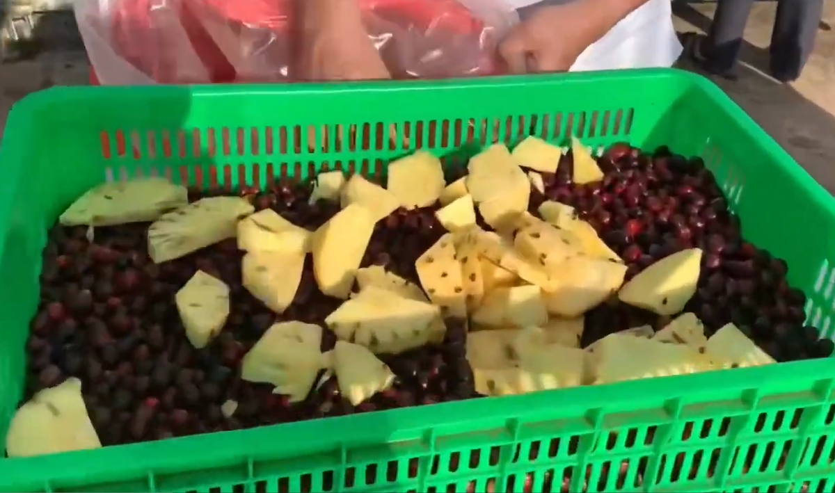 Cà Phê Lên Men Yếm Khí (Anaerobic Fermentation) Là Gì, Quy Trình Chế Biến