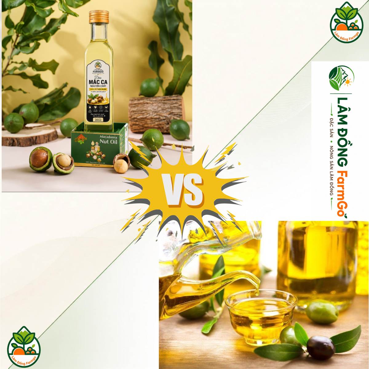 Dầu Mắc Ca Và Dầu Olive: So Sánh Đặc Điểm Và Cách Sử Dụng Trong Bếp