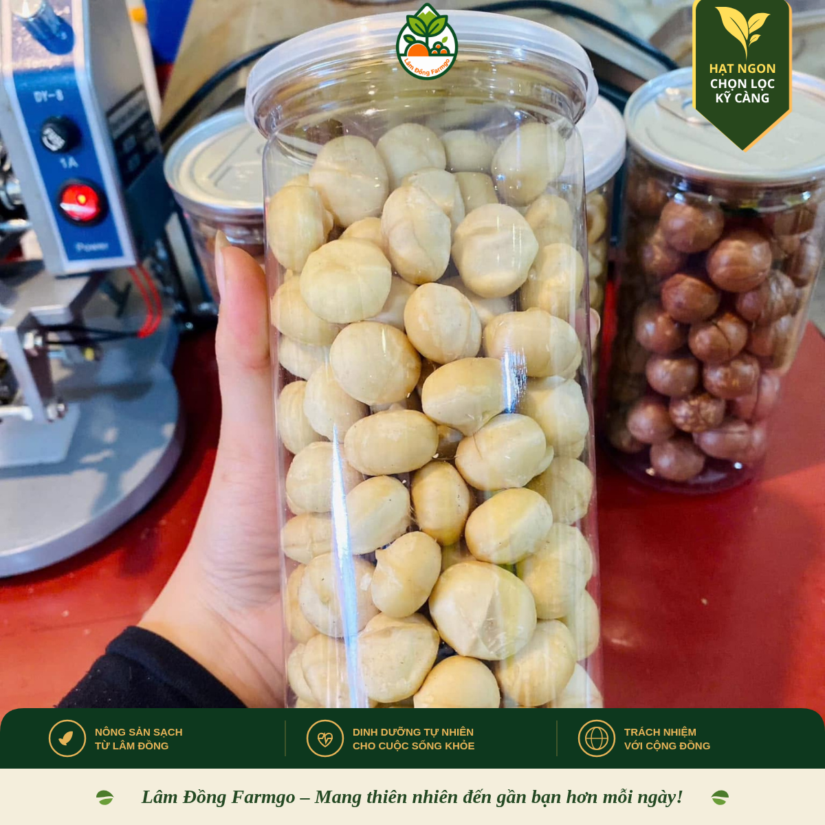 1Kg Hạt Mắc Ca Được Bao Nhiêu Hạt, Bao Nhiêu Nhân? Tính Chi Phí Ăn Mỗi Tháng