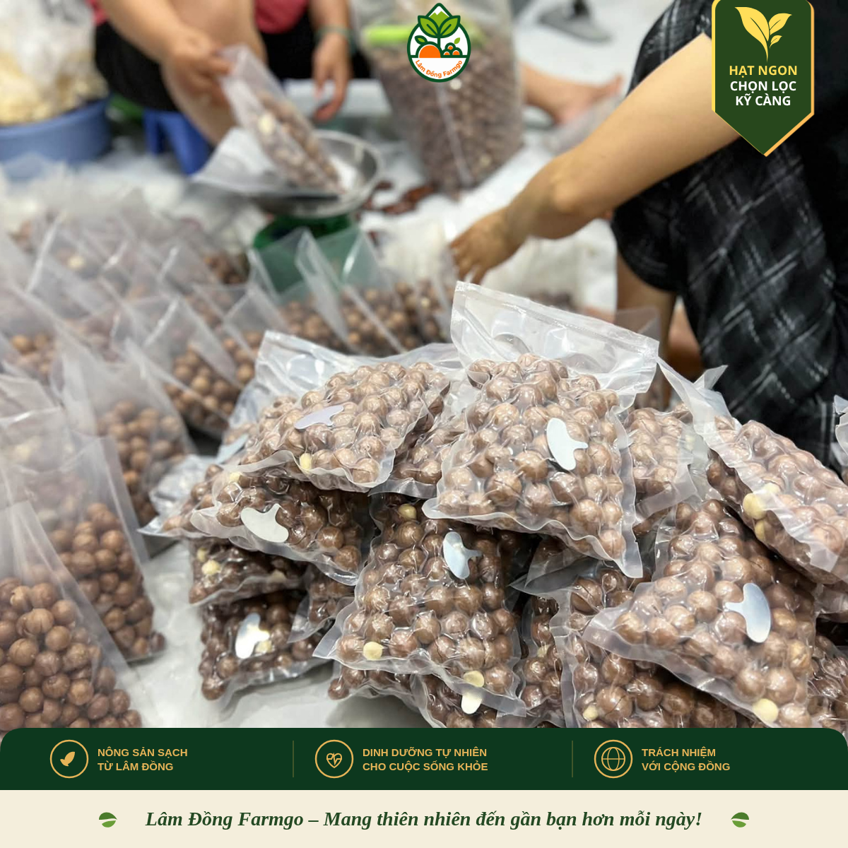 Cách bảo quản hạt dinh dưỡng không bị hôi dầu chuẩn chuyên gia