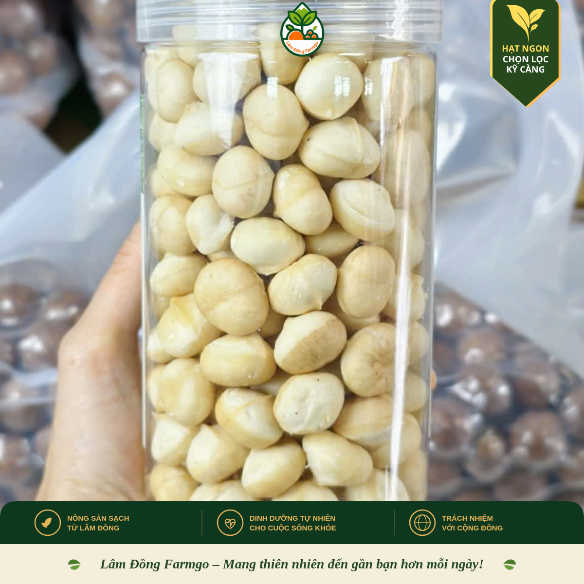 Người Bị Tiểu Đường Có Ăn Được Hạt Mắc Ca Không? Lời Khuyên Dinh Dưỡng | Lâm Đồng FarmGo