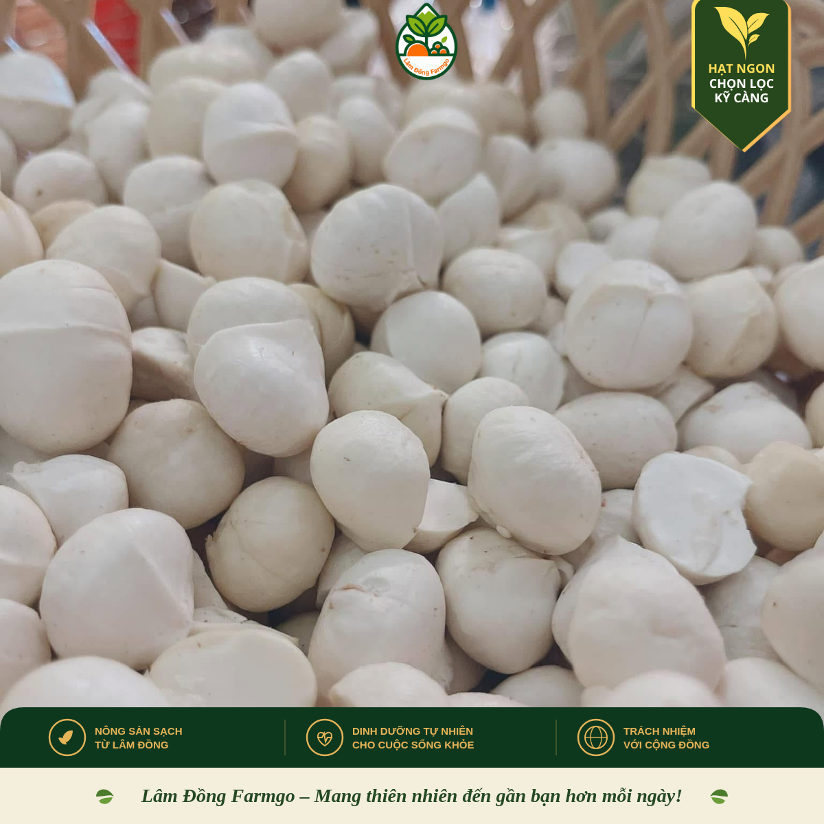Tỷ Lệ Nhân Mắc Ca Là Gì? Vì Sao Đây Là Chỉ Số Sống Còn?