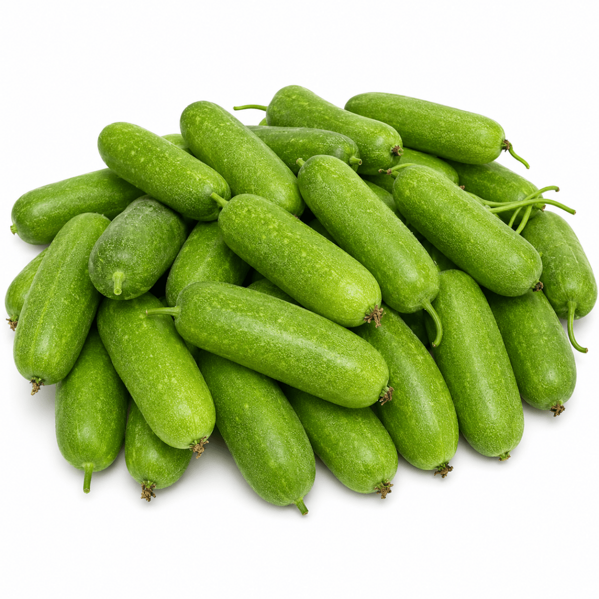 Mô Tả Hình Ảnh