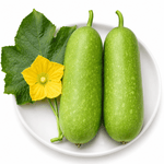 Bí Đao Chanh - Lâm Đồng Farmgo