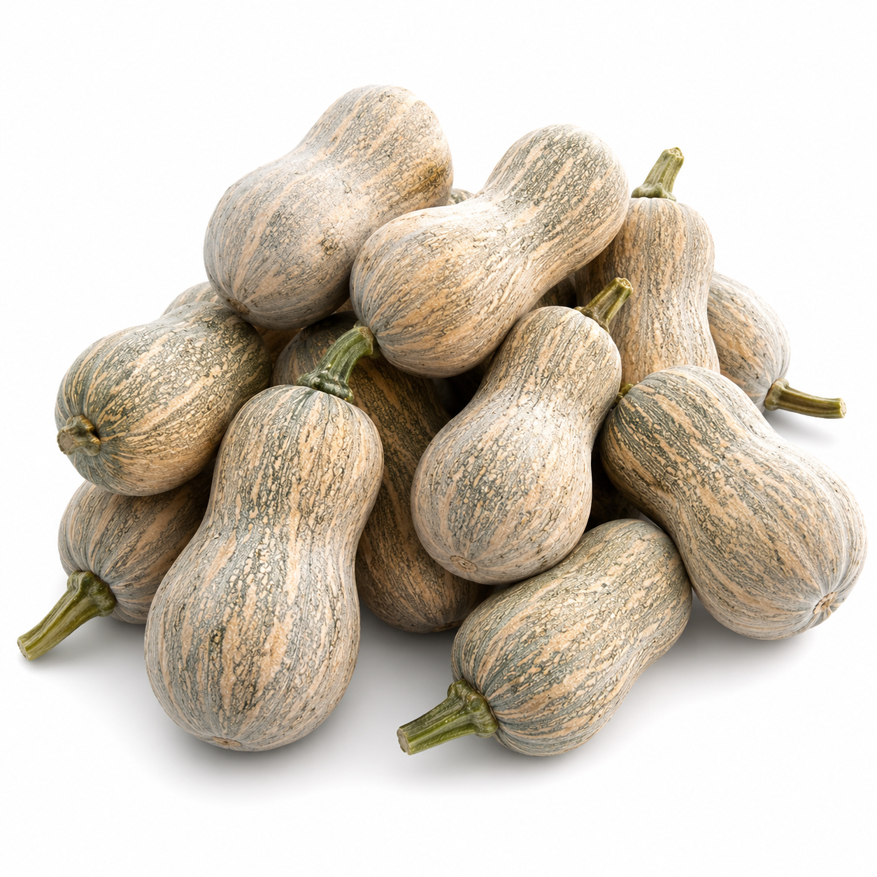 Mô Tả Hình Ảnh