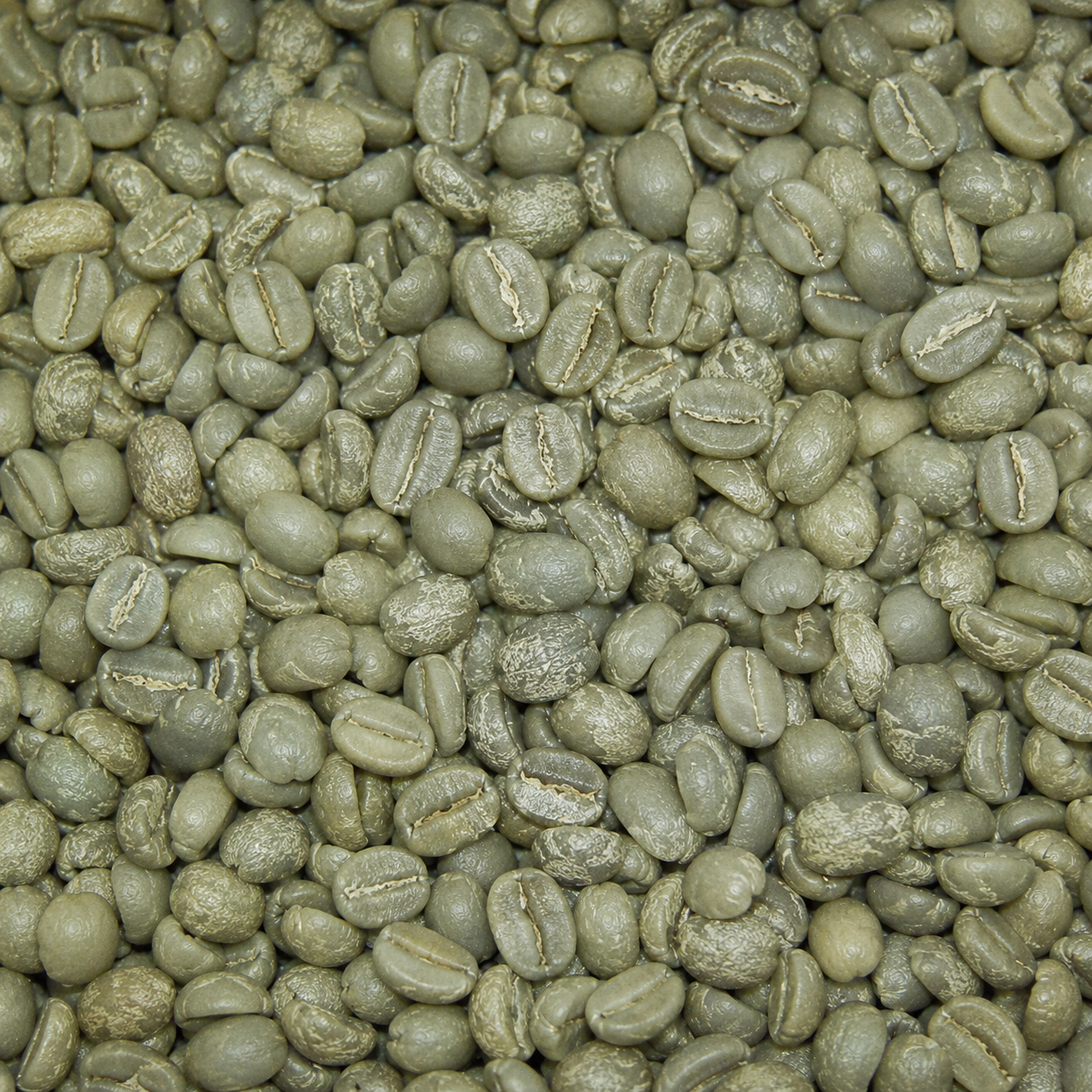 Cà phê nhân xanh Arabica