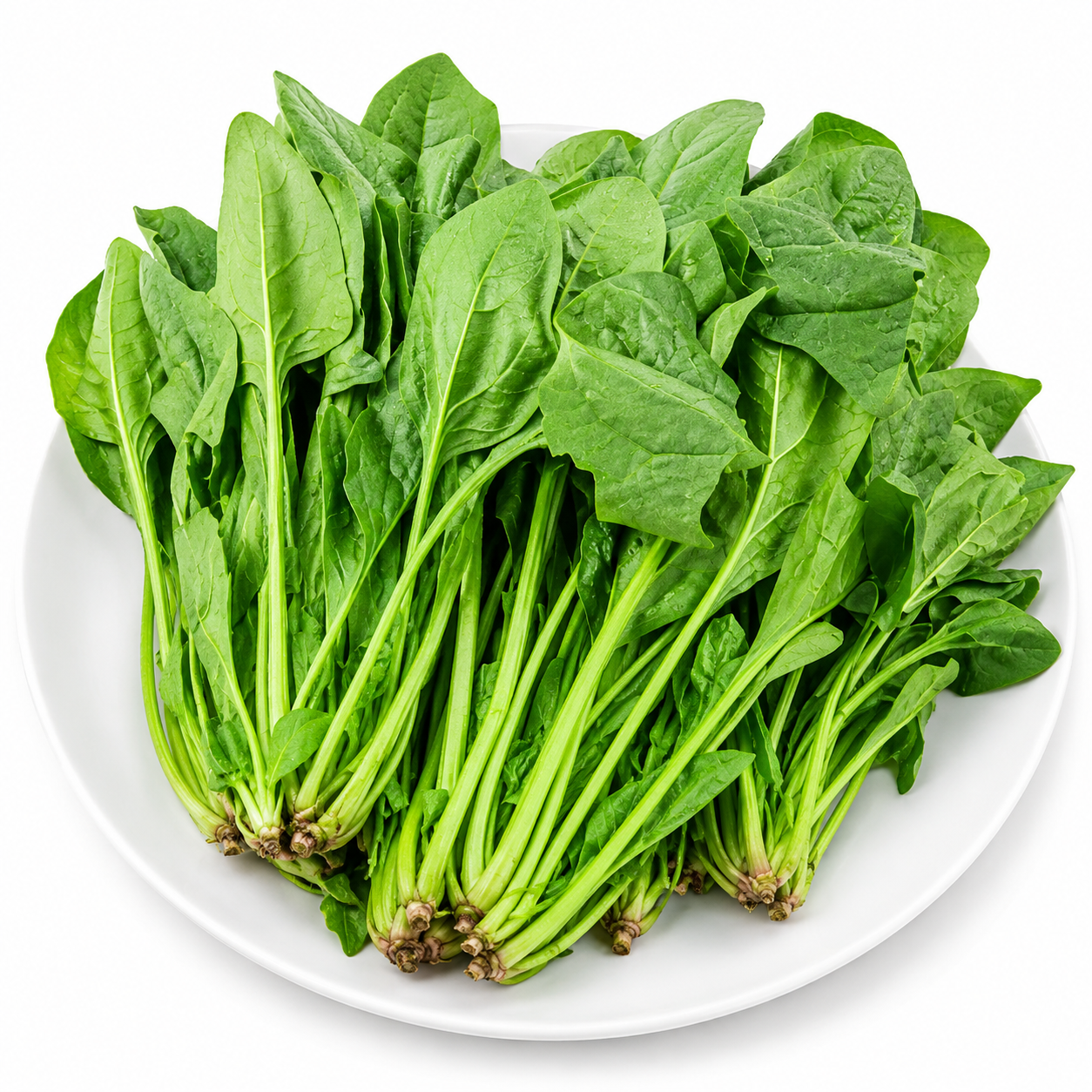 Cải Bó Xôi (Rau Bina)