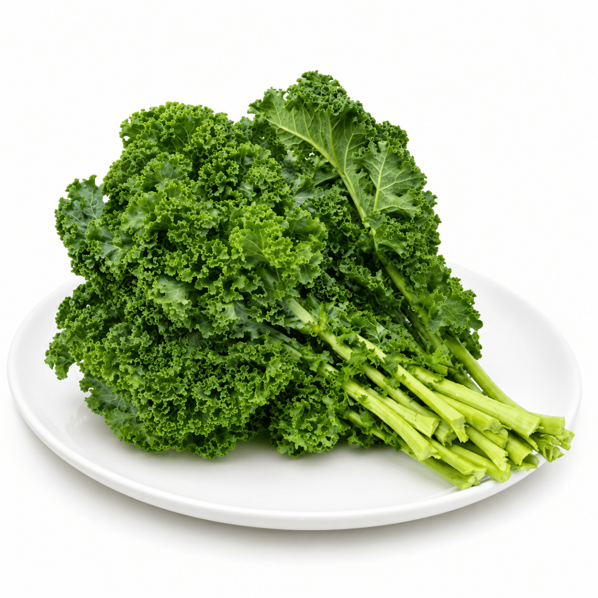 Cải Xoăn Kale - Lâm Đồng Farmgo