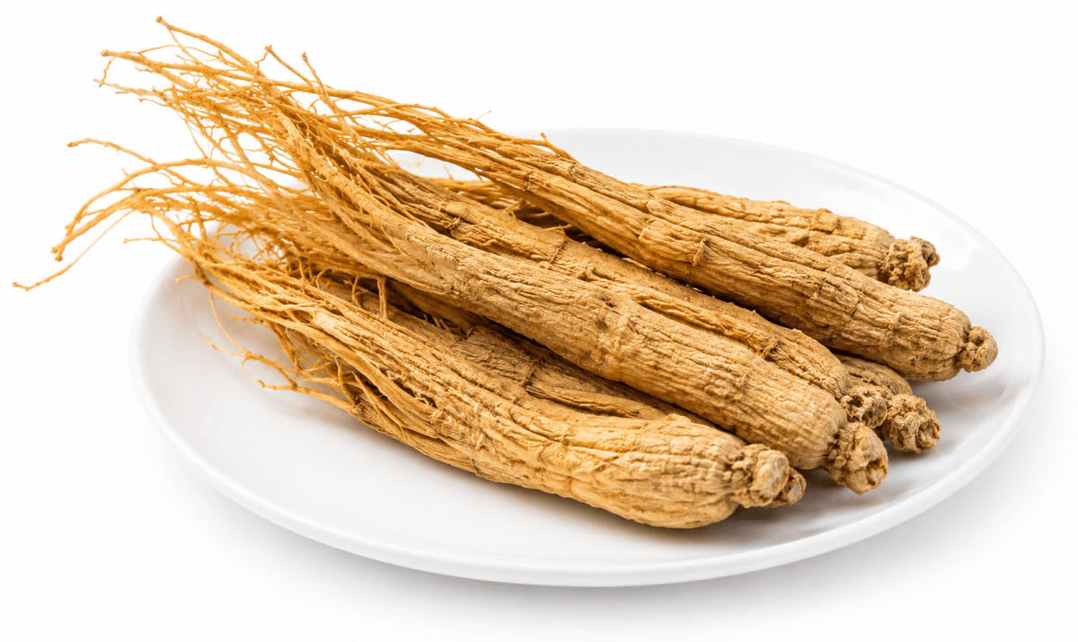 Đương Quy - Lâm Đồng Farmgo