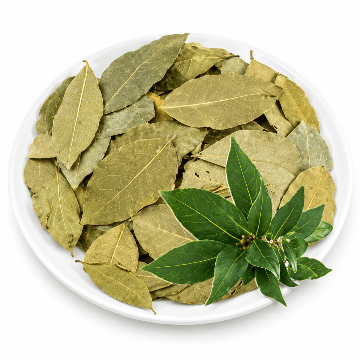 Lá Nguyệt Quế Khô - Lâm Đồng Farmgo