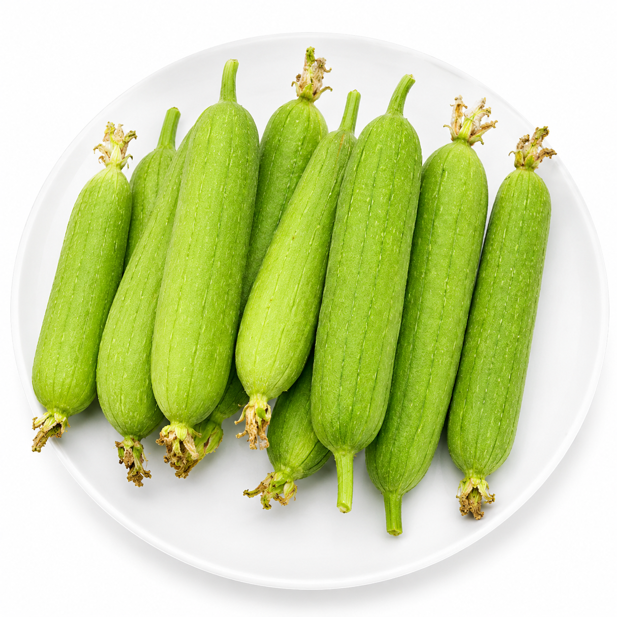 Mướp Hương