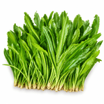 Ngò Gai - Lâm Đồng Farmgo