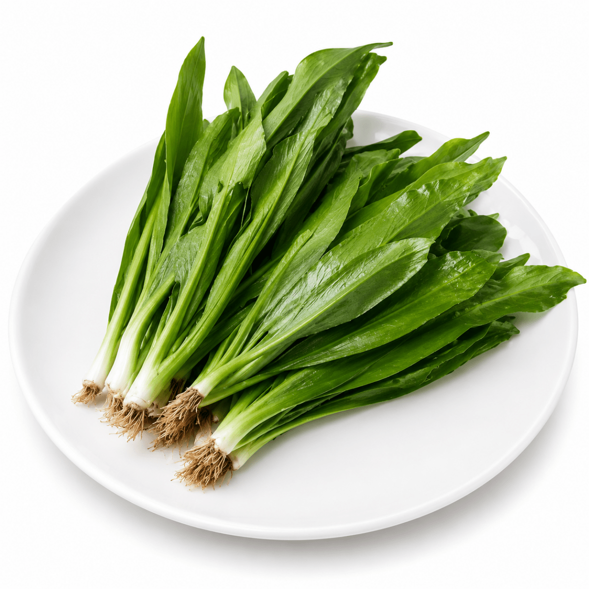 Ngò Gai - Lâm Đồng Farmgo