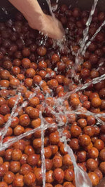 Mắc Ca Tách Vỏ Hàng Tuyển 500gram