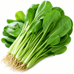 Rau Cải Ngọt - Lâm Đồng Farmgo