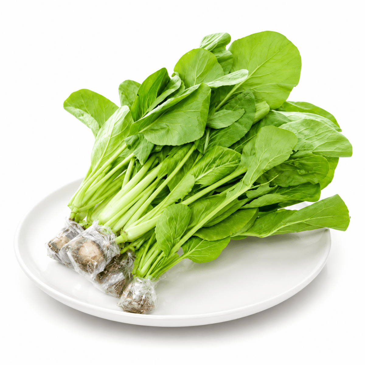 Rau Cải Ngọt - Lâm Đồng Farmgo