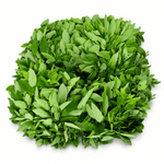 Rau Ngót - Lâm Đồng Farmgo