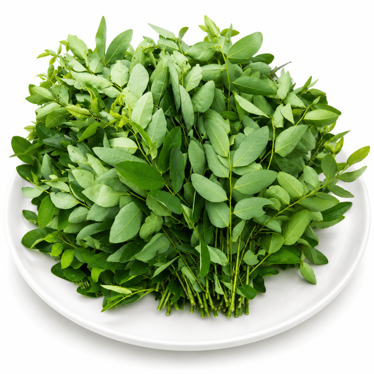 Rau Ngót - Lâm Đồng Farmgo