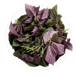 Rau Tía Tô - Lâm Đồng Farmgo