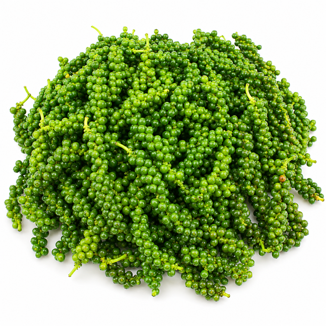 Mô Tả Hình Ảnh